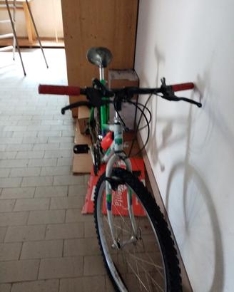 bicicletta donna 