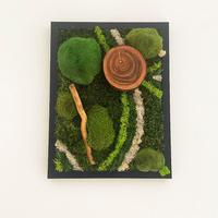 Quadro vegetale muschio Stabilizzato e licheni