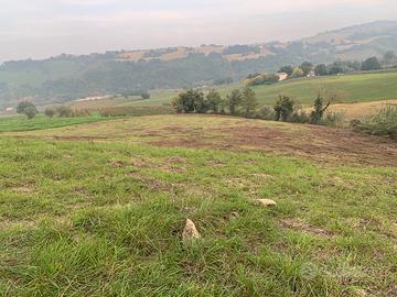 Vendita terreno