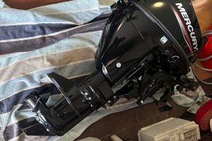 MERCURY F 9.9 MH EFI