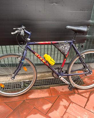 Bici MTB