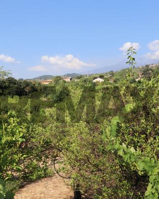 Terreno - Mascali
