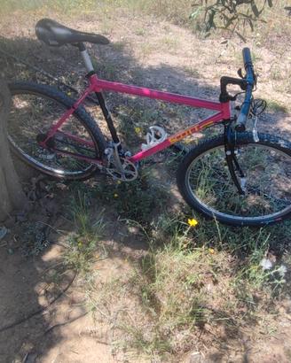 mtb scott anni 90