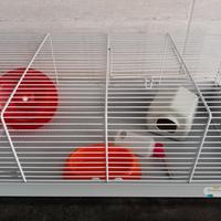 Gabbietta con accessori e tunnel morbido