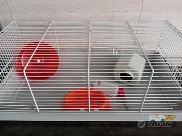 Gabbietta con accessori e tunnel morbido