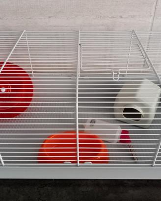 Gabbietta con accessori e tunnel morbido