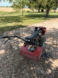MOTOZAPPA / MOTOCOLTIVATORE NIBBI DIESEL CON FRESA