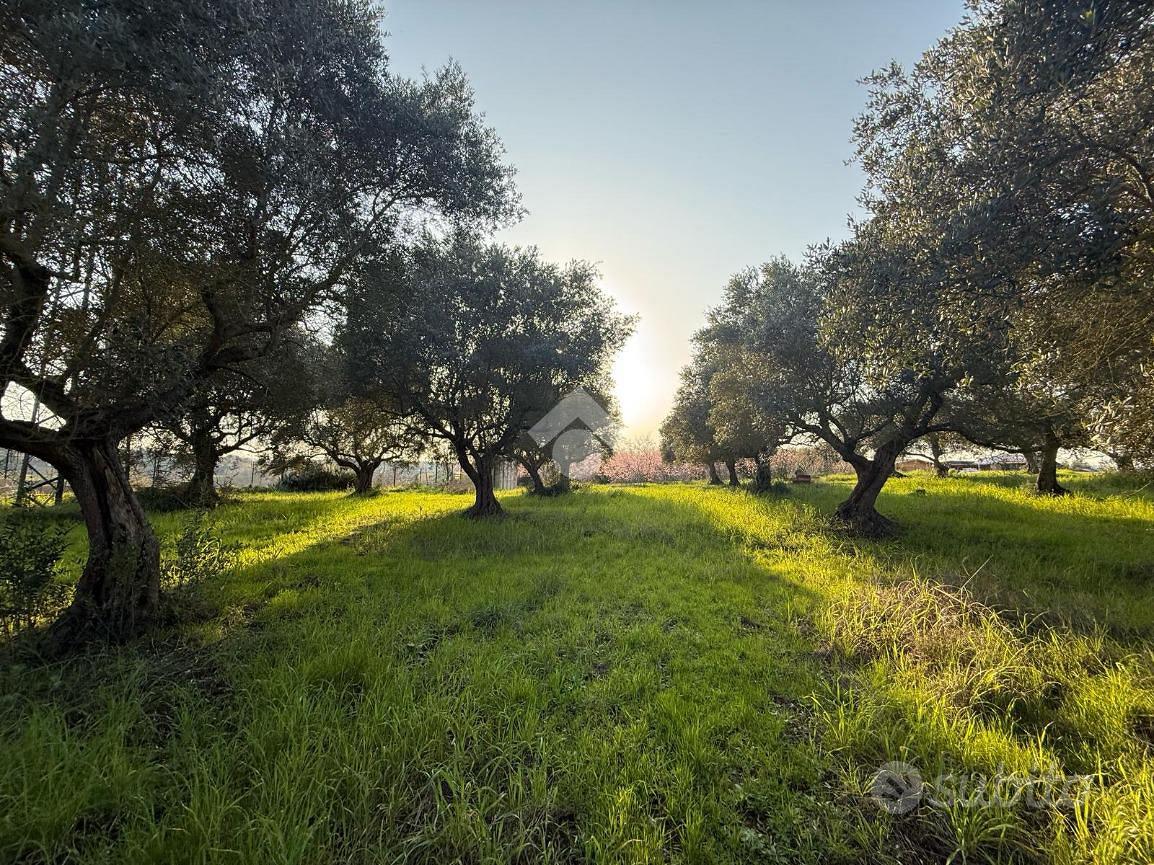 TER. AGRICOLO A GUIDONIA MONTECELIO - View 5