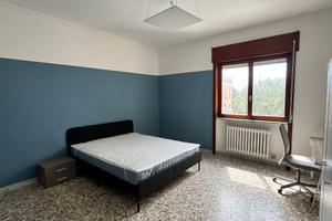 Ampia e riservata camera ad uso singolo