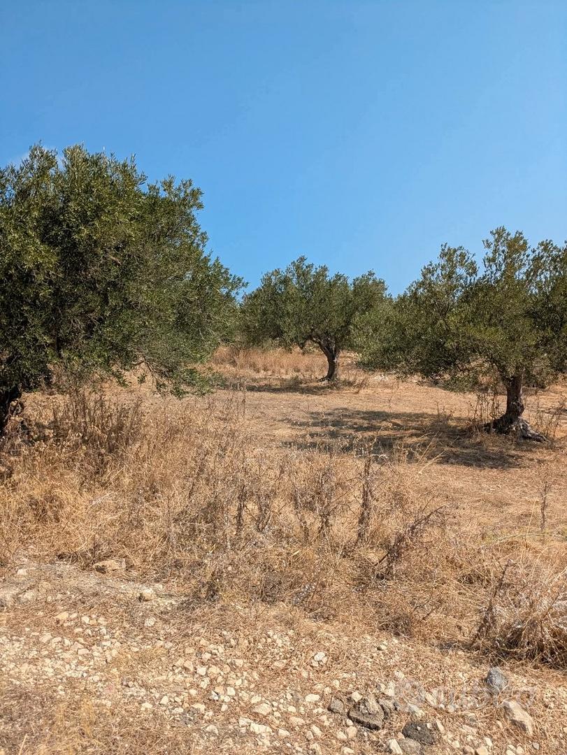 Terreno agricolo - Vista 2