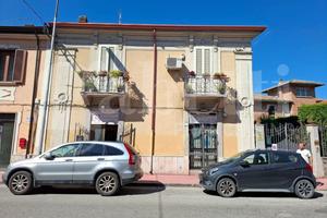 Negozio Sora [2025/044ACG]