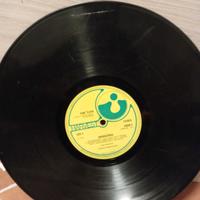 disco vinile pink floyd 