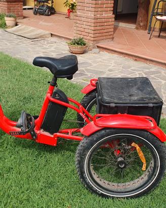 TRICLICLO JORVIK PEDALATA ASSISTITA