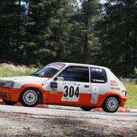 Auto Peugeot 205 rally