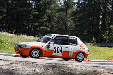 Auto Peugeot 205 rally