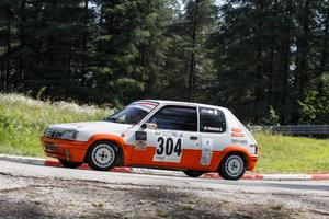 Auto Peugeot 205 rally