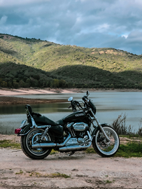 Harley davidson sportster xl1200