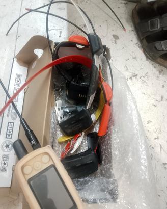 collari garmin