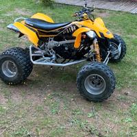 Can Am 450 ds