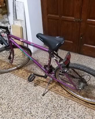 Bicicletta uomo