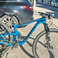full giant 29 carbon