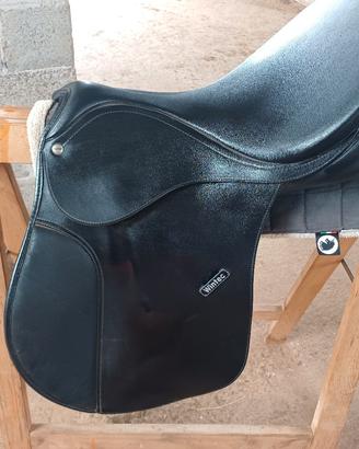 Sella wintec 250