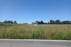 TER. AGRICOLO A SAN CARLO CANAVESE