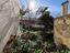 Immagine 13