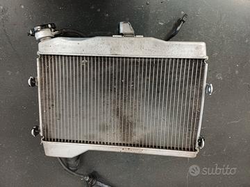 Radiatore Yamaha R7