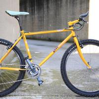 VINTAGE mountain bike 26 acciaio Bianchi NTH
