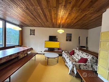 Chalet Flo Villaggioeni vista Pelmo