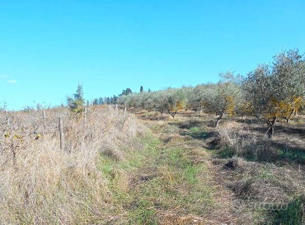 Terreno Agricolo in Toscana