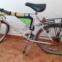 montainbike uomo Ciclodoro