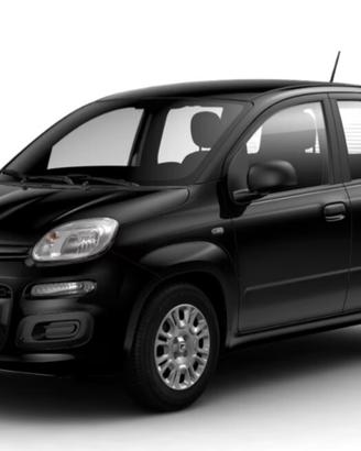 Fiat Panda Pandina 1.0 FireFly 65 CV Hybrid Pop
