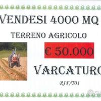 Terreno agricolo di 4000 mq a Varcaturo