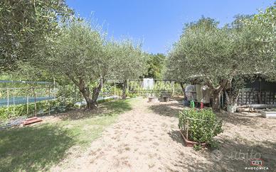 TERRENO AGRICOLO A SAN GIOVANNI IN MARIGNANO