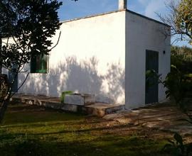 Rustico/Casale/Corte - Mesagne