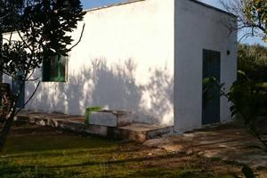 Rustico/Casale/Corte - Mesagne