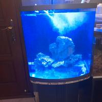aquario 130l