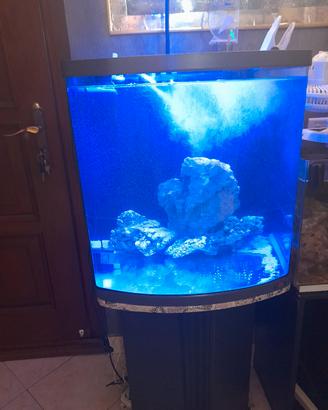 aquario 130l