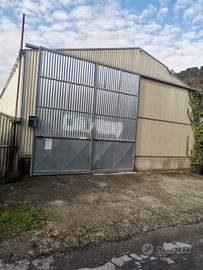 Magazzino capannone serra