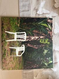 Vinile bad bunny- Debi tirar más fotos