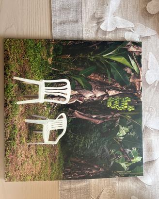 Vinile bad bunny- Debi tirar más fotos