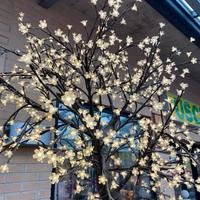 Albero alberello illuminato natale