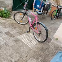 Mountain bike da 21 rapporti 