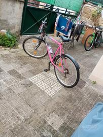 Mountain bike da 21 rapporti 