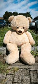 Peluche Orso Gigante