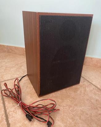 Cassa acustica