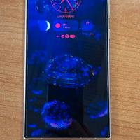 Samsung Galaxy S24 Ultra 5G Black 12GB RAM e 256GB