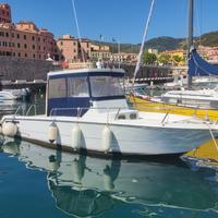 Barca da pesca Zaniboni 27 Bluetime